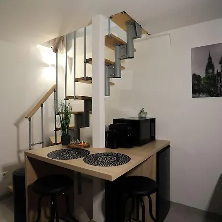 Duplex Chaleureux Avec Prive Strasbourg