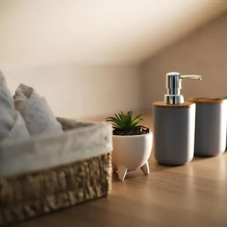 Duplex Chaleureux Avec Prive Apartment Strasbourg