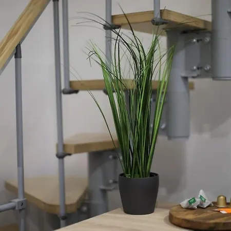 아파트 Duplex With Private Outdoor Close To Center 스트라스부르