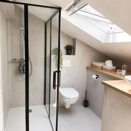 Duplex With Private Outdoor Close To Center Strasbourg