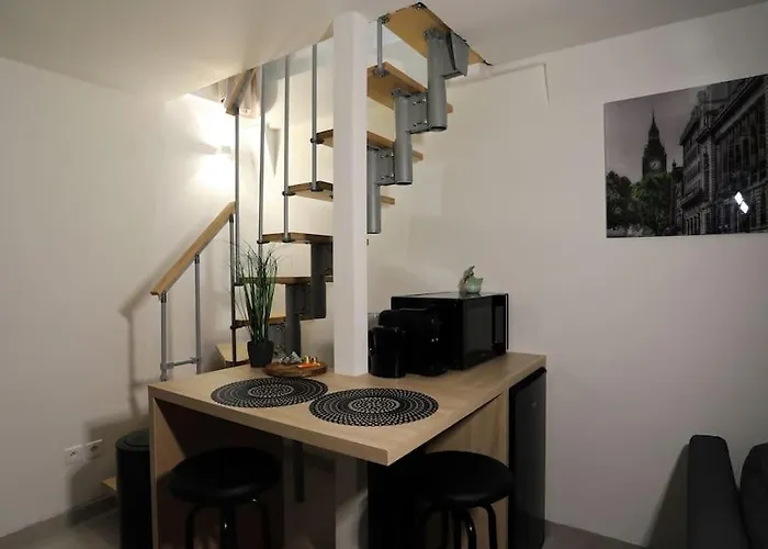 Duplex With Private Outdoor Close To Center 스트라스부르