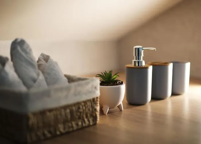 Duplex With Private Outdoor Close To Center 아파트 스트라스부르