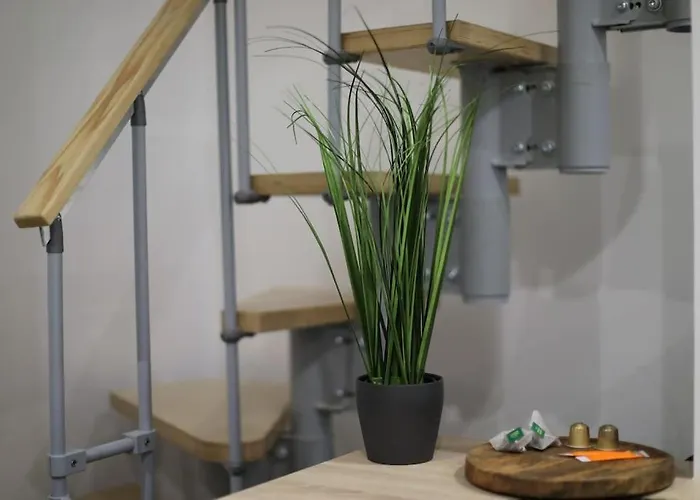 아파트 Duplex With Private Outdoor Close To Center 스트라스부르